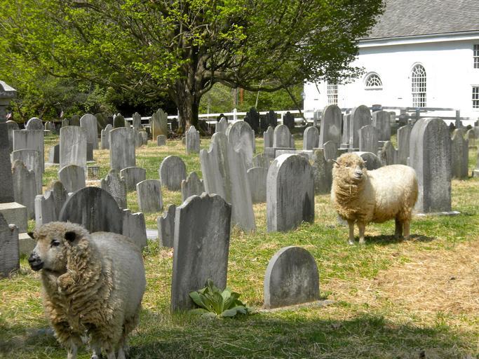 precizari in ceea ce priveste dezastrul din portul Midia