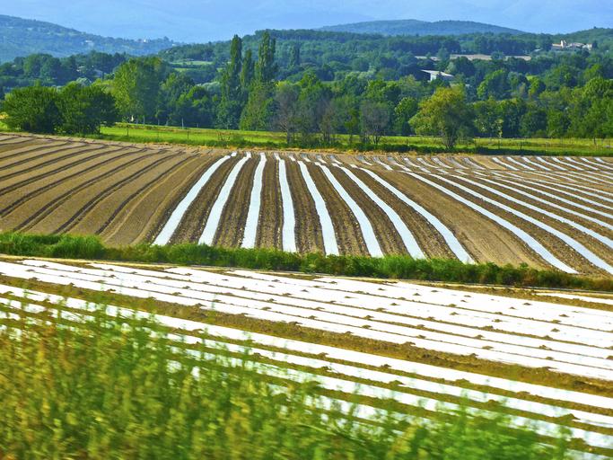 Impactul noului PAC asupra agriculturii ecologice, stiri din agricultura