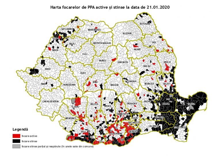 Actualizarea situației privind evoluția Pestei Porcine Africane la data de 21.01.2020