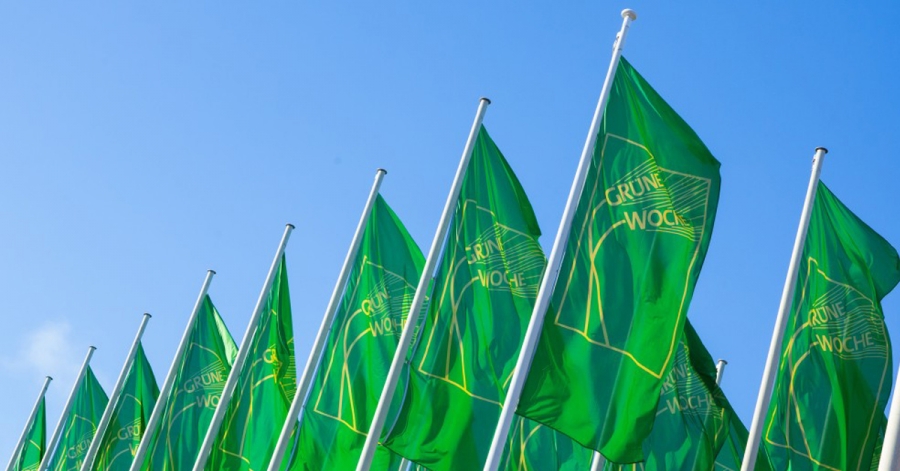 Delegația oficială a României condusă de ministrul agriculturii si dezvoltarii rurale Adrian OROS a avut o serie de întâlniri de lucru în prima zi a Târgului internațional pentru alimentație, agricultură și grădinărit Săptămâna Verde 2020, MADR, stiri agricole