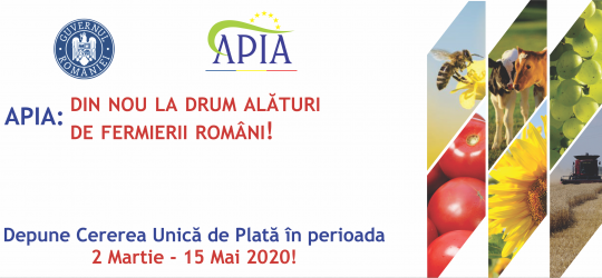 APIA: Documente obligatorii la depunerea cererii pentru subventiile pe suprafata si pe cap de animal; depunerea cererii unice in data de 2 martie 2020, stiri agricole, subventii apia