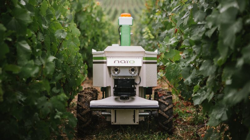 Robotica si combaterea buruienilor; mulți dintre micii gradinari sufera de tulburări musculo-scheletice. Îmbunătățirea condițiilor de muncă, stiri agricole