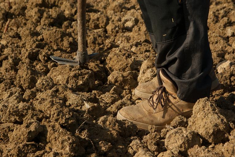 Fermierii nu au unde sa isi vanda productia; nici măcar o măsură adresată producătorilor agricoli; Sindicatul Producătorilor Agricoli Olt, stiri agricole