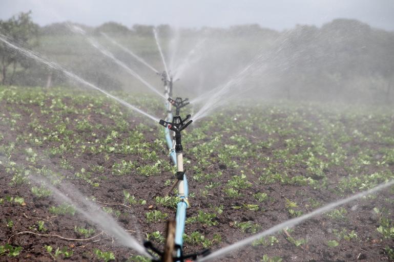Noutăți legislative despre irigații și secetă. infrastructura de irigații insuficientă raportată la suprafața de teren care ar trebui sa fie irigată; stiri agricole