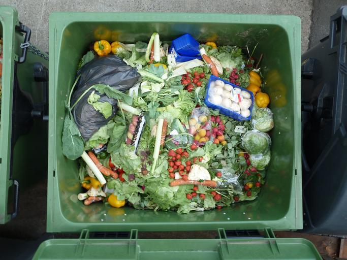 Educarea generațiilor viitoare pentru o lume cu zero deșeuri alimentare! Campanie de educare a consumatorilor privind reducerea risipei alimentare, stiri agricole