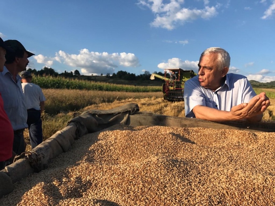 Petre Daea: " Nu vor, nu știu mecanismele europene și nu pricep"! Lipsa de voință și amatorismul în actul de conducere ne afectează pe toți; stiri agricole