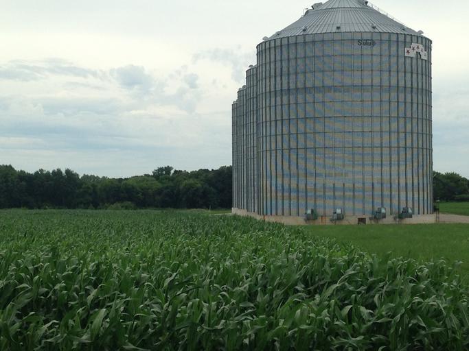 Exportul de cereale interzis in spatiul extracomunitar; Comerțul intracomunitar se face cu respectarea prevederilor comunitare, stiri agricole