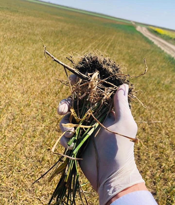 Niciun decident să nu doarmă până când fermierii nu vor avea apă! Soluția susținerii agriculturii românești se află la fiecare cetățean! stiri agricole