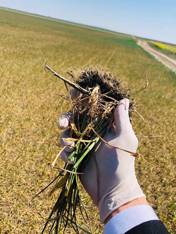 Niciun decident să nu doarmă până când fermierii nu vor avea apă! Soluția susținerii agriculturii românești se află la fiecare cetățean! stiri agricole