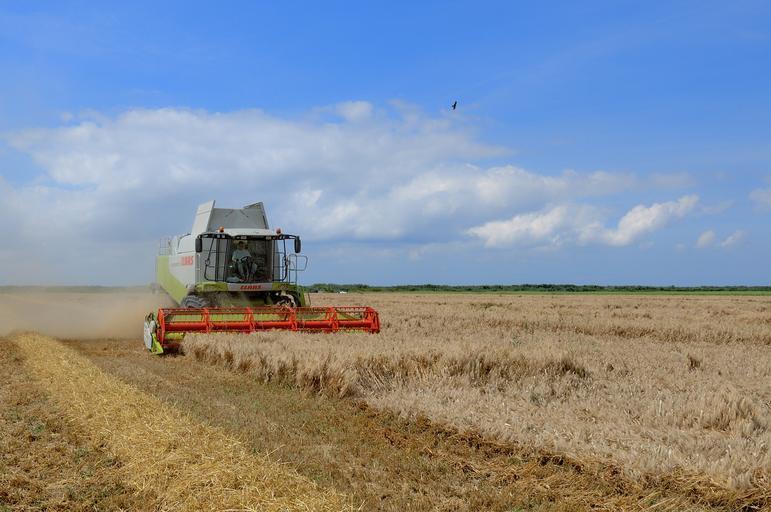 Sprijinului din FEADR crește de la 5000 de euro la 7000 de euro pentru fermierii afectați de criza COVID-19; Daniel Buda; stiri agricole