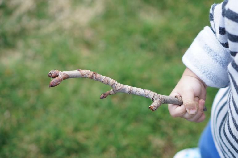 vanzarea produselor ecologice româneşti în şcoli; vânzarea produselor ecologice locale şi a celor româneşti ţine de educaţie şi de consumatorul responsabil; stiri agricole
