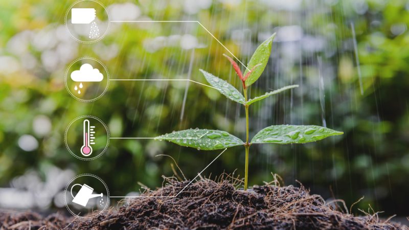 Fermierii au nevoie de acces la cele mai noi instrumente și tehnologii; Digitalizarea „factor cheie” pentru fermieri; stiri agricole