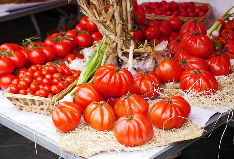 De ce crede UE in fermele mici si mijlocii? Strategia F2F va avea un impact asupra fermierilor și a agriculturii în patru moduri. stiri agricole