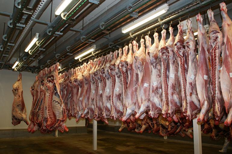 Reorganizarea sistemului naţional de clasificare a carcaselor de bovine, porcine şi ovine; proiect de act normativ supus dezbaterii publice; stiri agricole