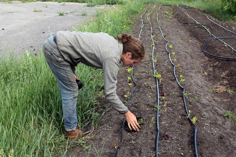 Uniunea Salvăm Țăranul Român îl ia la intrebari pe Adrian Oros; își exprimă indignarea față de modul în care MADR si Nechita Adrian Oros; stiri agricole