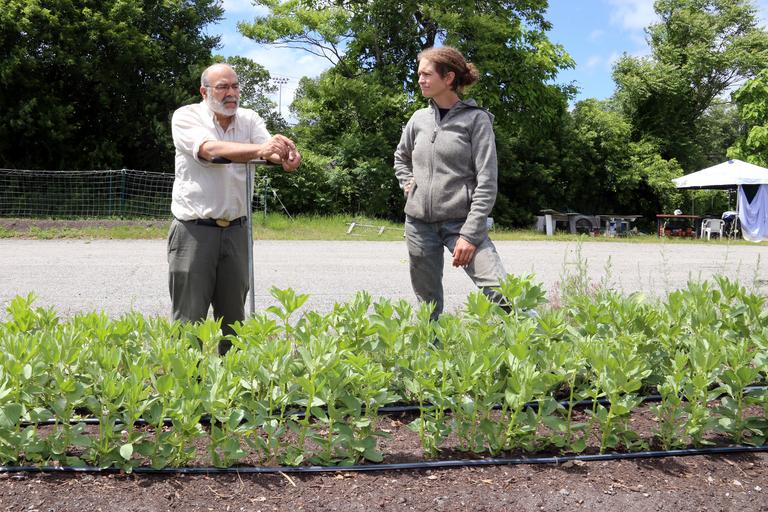 Măsuri de investiții în domeniul agricol; Îmbunătățirea poziției fermierilor în lanțul valoric; importanța îmbunătățirii gradului de pregătire profesională;