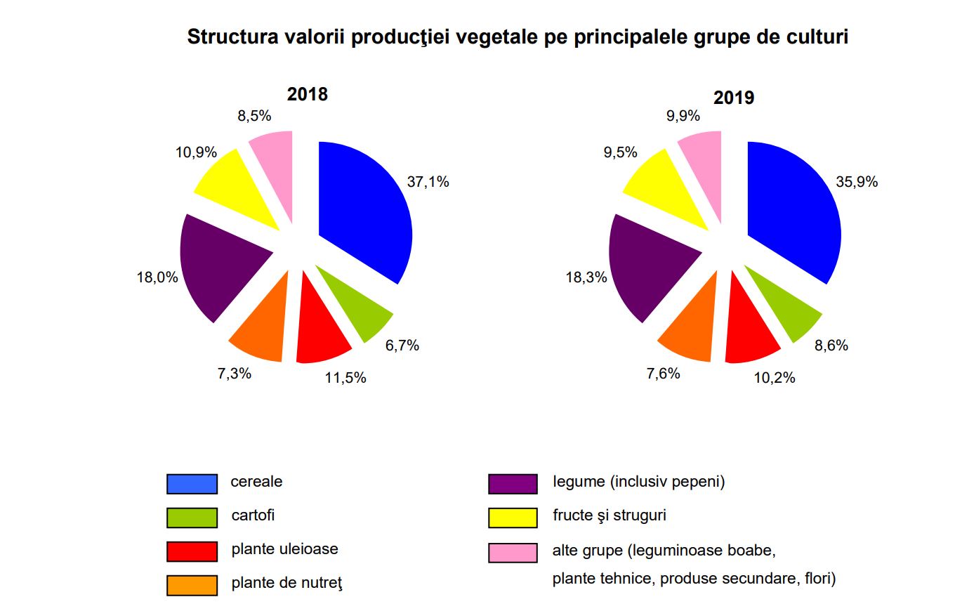 Valoarea producţiei ramurii agricole a scăzut în 2019 cu 3,8% comparativ cu anul precedent, la 89,997 miliarde lei; stiri agricole