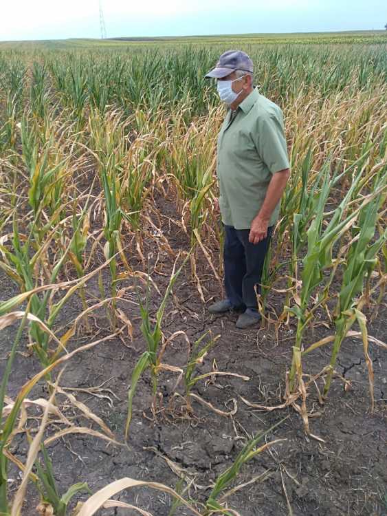 Despagubirile pentru fermieri se fac prin APIA; Banii in cont in cateva zile! pentru că bazele de date sunt pregătite; stiri agricole; Adrian Oros