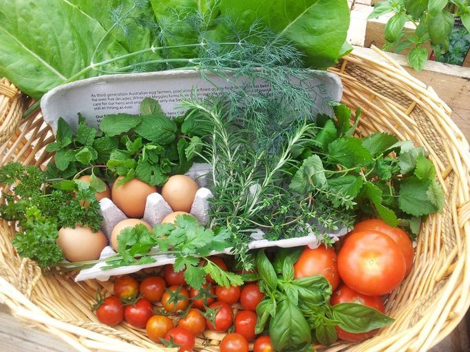 Uniunea Europeană sprijină fermierii care vor să se orienteze spre agricultura ecologică! Certificare, conversie, consiliere UE; stiri agricole