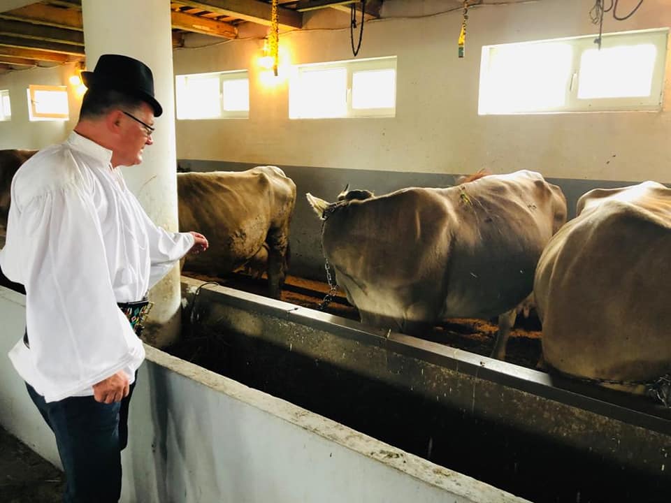 Ferma de familie o soluția realistă pentru agricultură; ferma de familie cu vaci de lapte din rasa Brună de Maramureș, în comuna Giulești, stiri agricole
