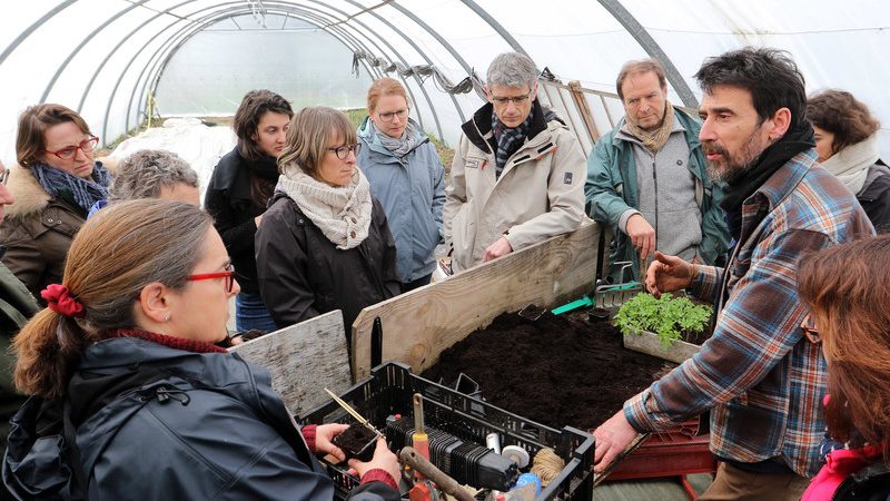 Agricultura ecologică poate fi mai profitabilă decât cea convențională; Tehnicile agroecologice cuprind o serie de practici inspirate de natură; stiri agro
