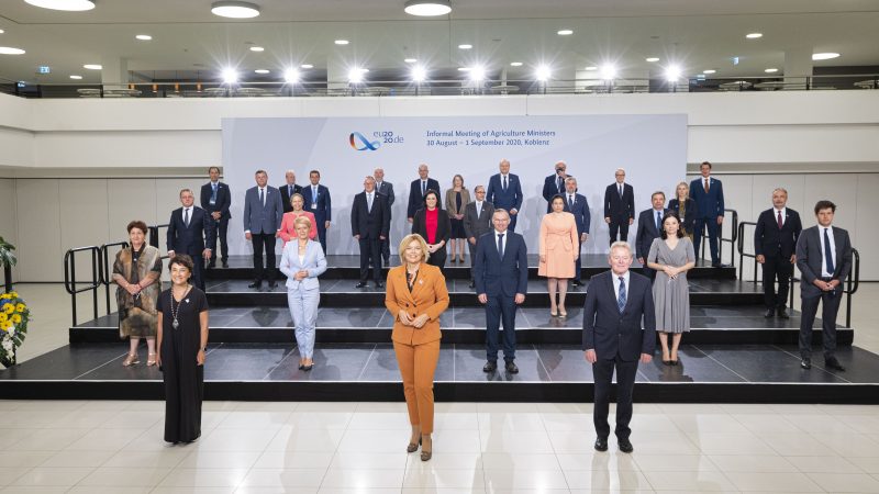 Măsuri naționale pentru a specifica originea anumitor categorii de alimente; Europa trebuie să devină mai independentă de importuri; stiri agricole