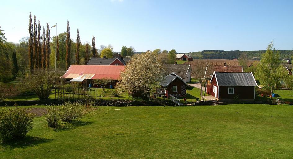Definirea fermei de familie și a celei comerciale; Plan de dezvoltare privind agricultura 2021-2027, partea a IX-a; stiri agricole; Stefan Gheorghita