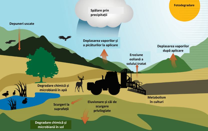 Principiile generale ale gestionării integrate a dăunătorilor; Puține state membre verifică aplicarea principiilor gestionării integrate a dăunătorilor;