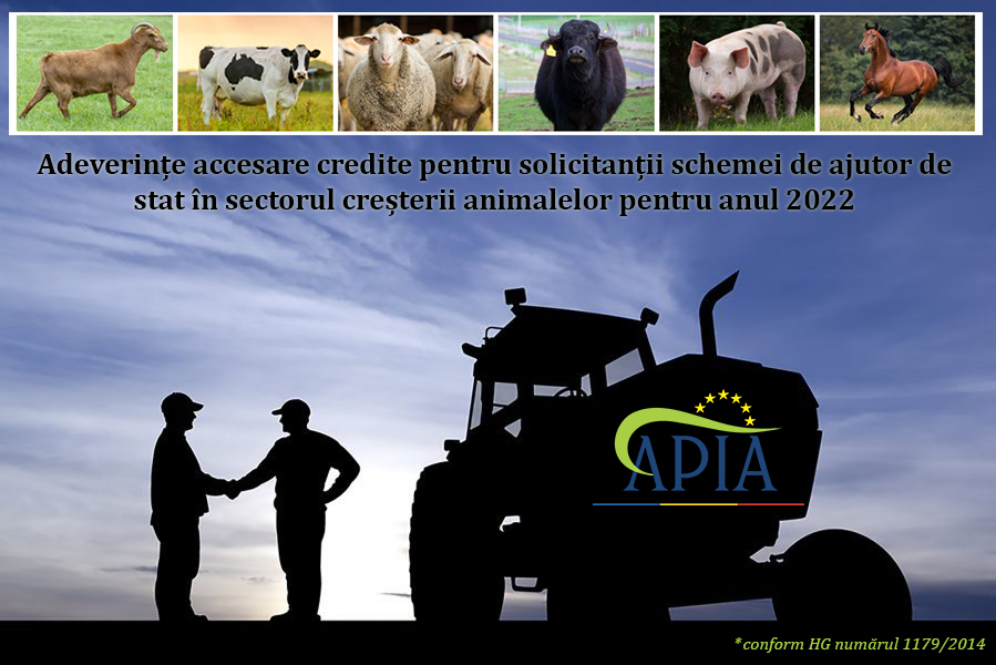 APIA eliberează adeverințe pentru solicitanții schemei de ajutor de stat în sectorul creșterii animalelor pentru anul 2022. Stiri agricole