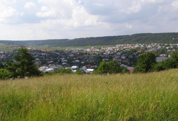 Ce înseamnă Ucraina pe piața agricolă? Efectele directe asupra piețelor agricole europene sunt puțin probabile. Stiri agricole