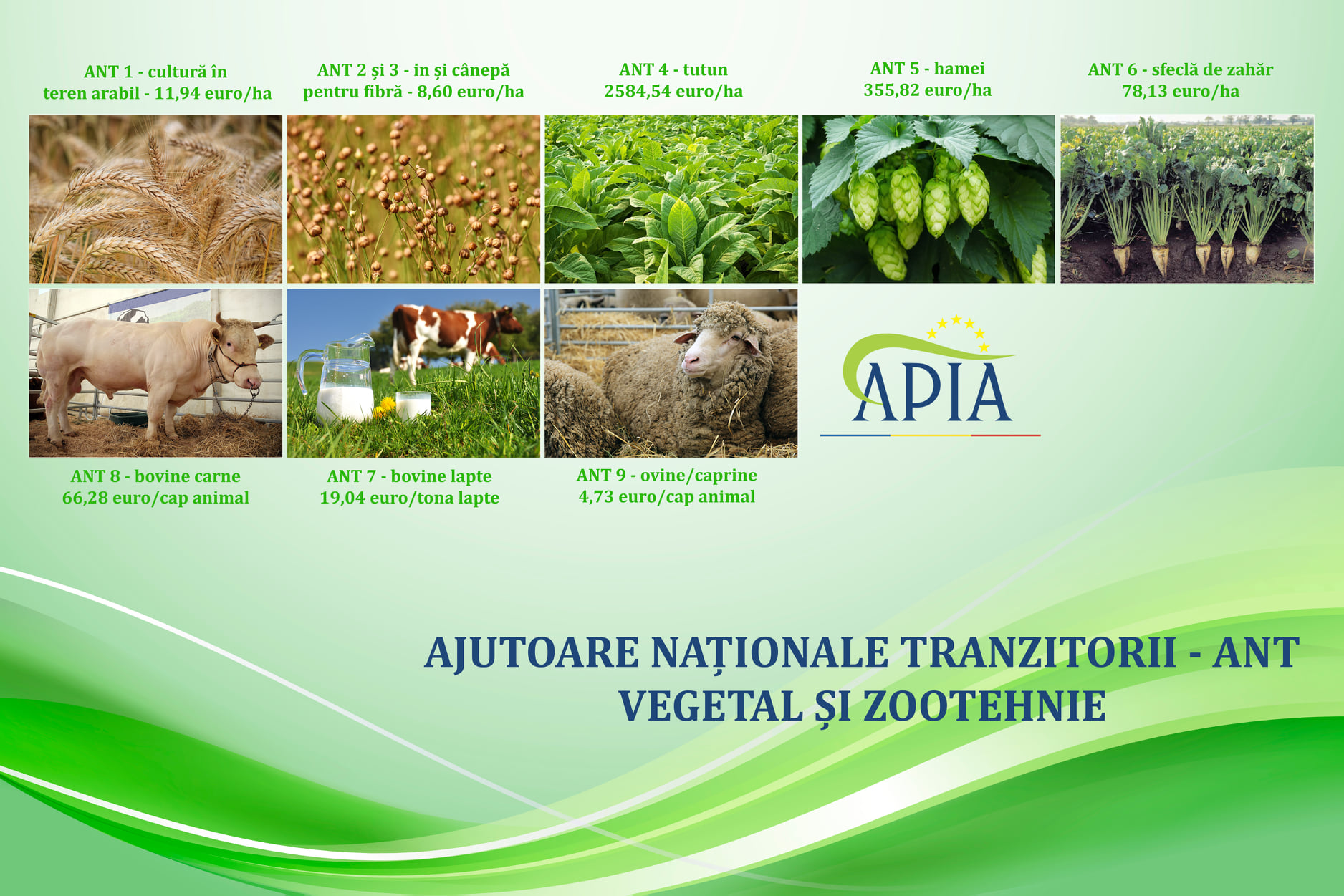 APIA a stabilit cuantumurile ANT-urilor aferente sectoarelor vegetal și zootehnic pentru anul de cerere 2021. Stiri agricole