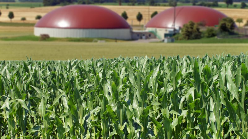 Mai mult biogaz produs în UE - REPowerEU. Regulile privind ajutorul de stat se relaxează. Opțiuni de a oferi ajutor fermierilor. Stiri agricole