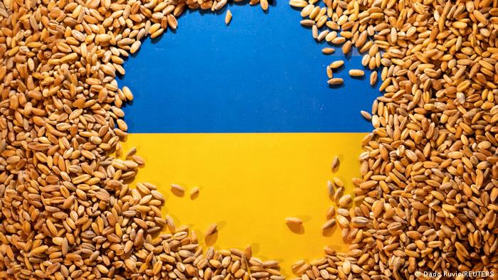 Cereale din Ucraina la schimb cu îngrășăminte rusești. ONU pregătește un acord pentru deblocarea exporturilor de cereale din Ucraina. Stiri agricole