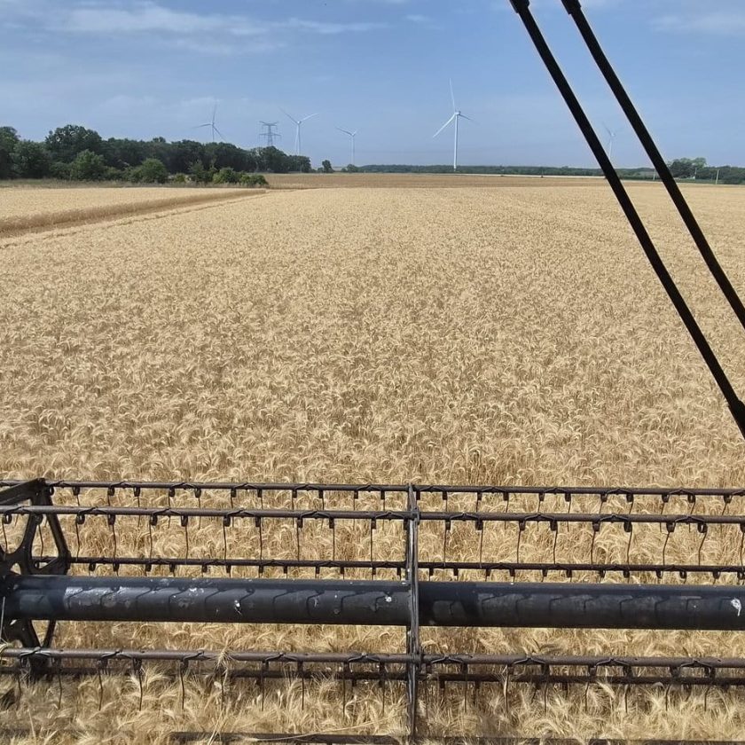 De ce avem producție bună, dar unele ferme rămân neprofitabile? „Hambare pline, conturi goale” confundă producția cu profitabilitatea