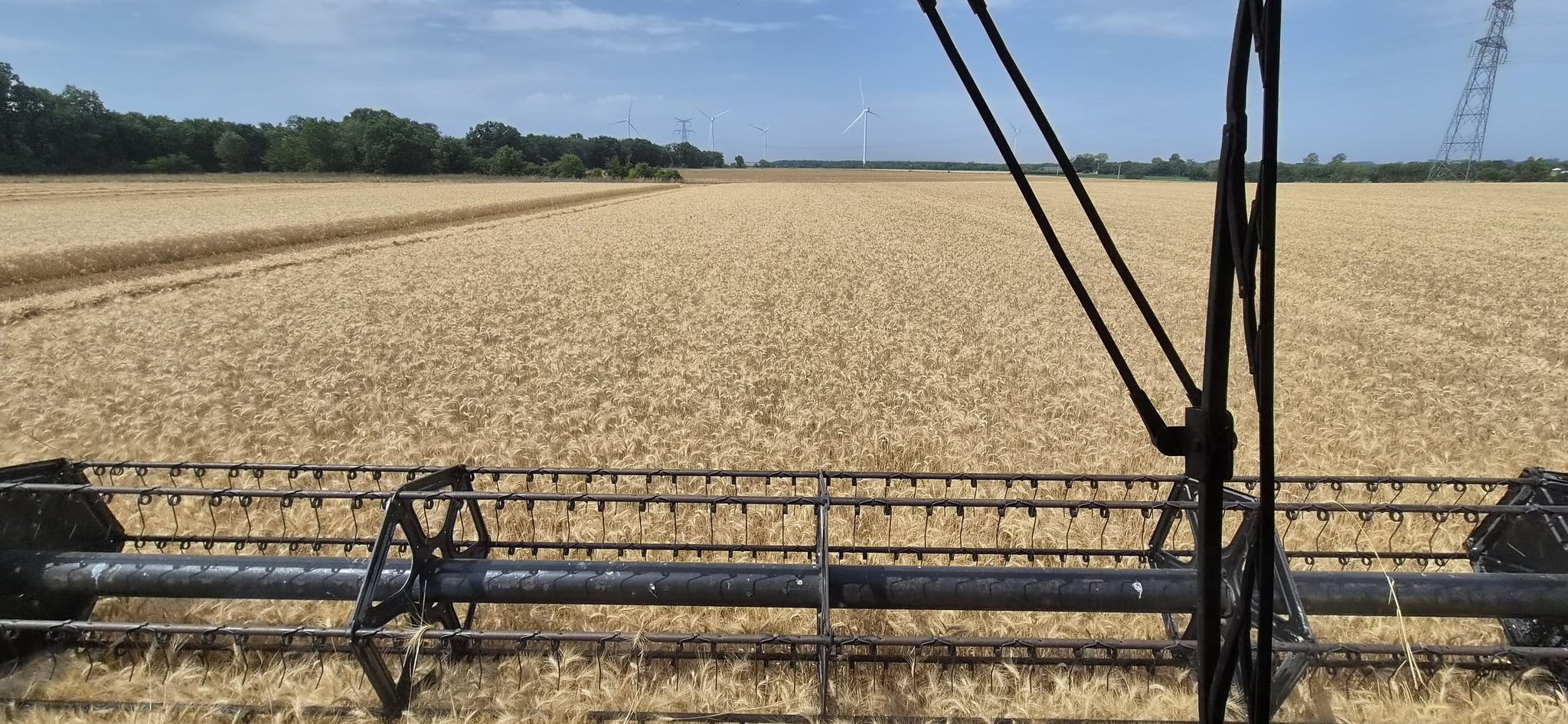 De ce avem producție bună, dar unele ferme rămân neprofitabile? „Hambare pline, conturi goale” confundă producția cu profitabilitatea
