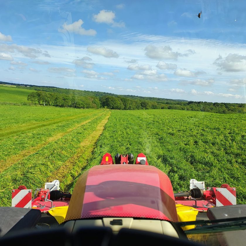 Ești sigur că pajiștea ta își atinge întregul potențial? o pajiște nu trebuie evaluată doar după culoare. Nu este suficient să spunem că este verde