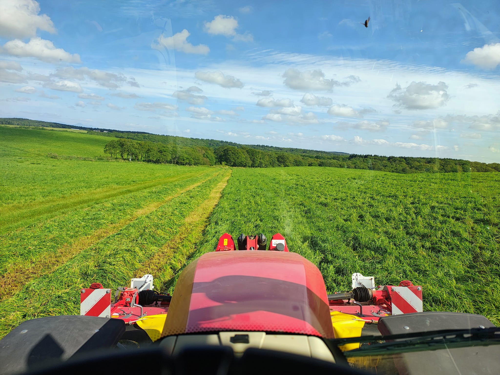 Ești sigur că pajiștea ta își atinge întregul potențial? o pajiște nu trebuie evaluată doar după culoare. Nu este suficient să spunem că este verde